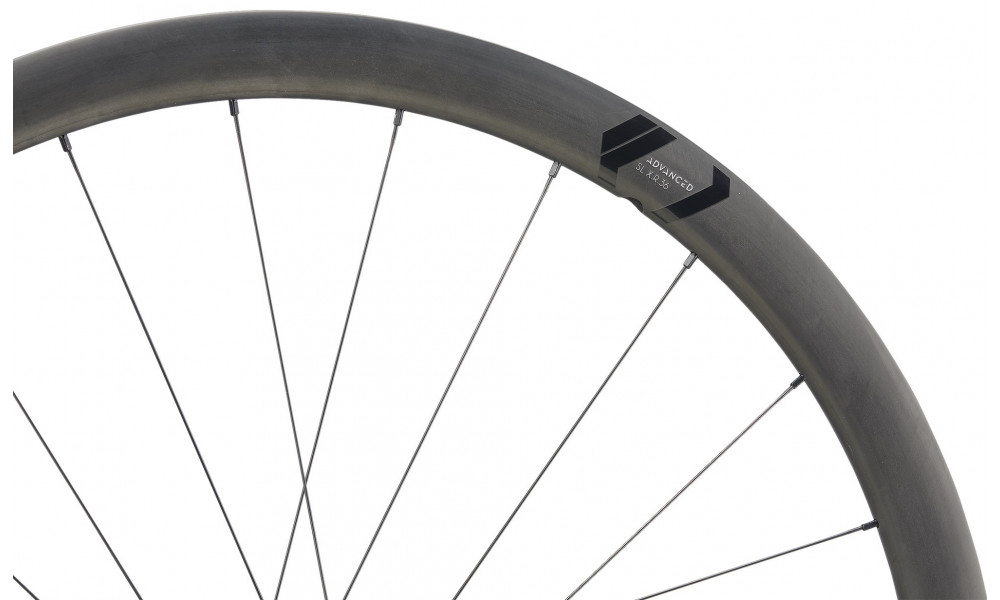 Galinis ratas NEWMEN Advanced Carbon SL X.R.36 29" 24H Gravel SP C-Lock 12x142 HG - 4