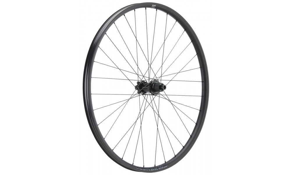 Galinis ratas NEWMEN Beskar Alu 30 base 29" 28H SP 6-bolt 12x148 HG 