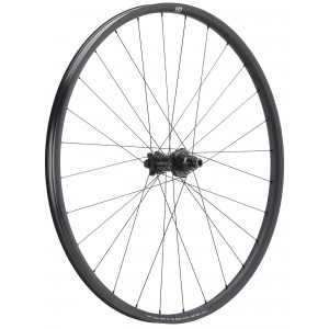 Galinis ratas NEWMEN Beskar Alu 30 base 29" 28H SP 6-bolt 12x148 XD