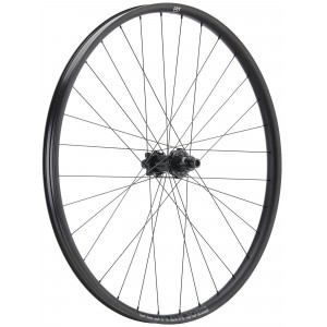 Galinis ratas NEWMEN Beskar Alu 30 DH 29" 32H SP 6-bolt 12x148 XD