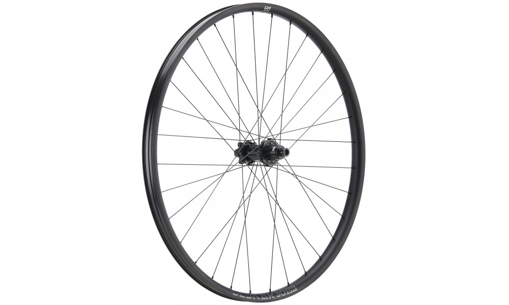 Galinis ratas NEWMEN Beskar Alu 30 DH 29" 32H SP 6-bolt 12x148 XD 