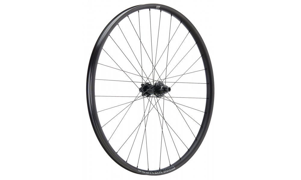 Galinis ratas NEWMEN Beskar Alu 30 DH 29" 32H SP 6-bolt 12x157 HG 