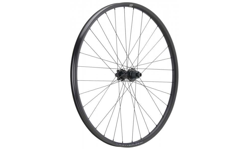 Galinis ratas NEWMEN Beskar Alu 30 strong 29" 32H SP 6-bolt 12x148 HG 