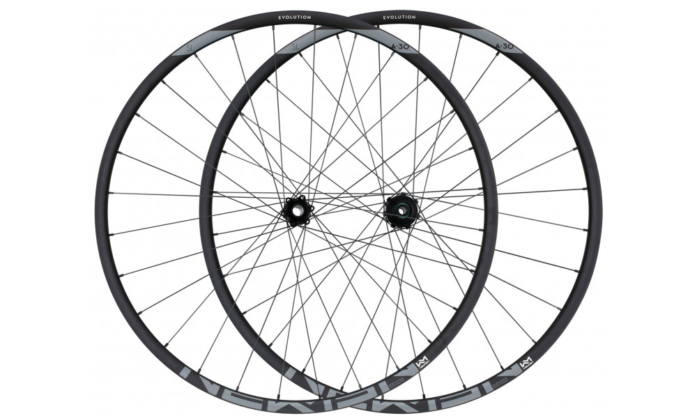 Galinis ratas NEWMEN Evolution Alu SL A.30 29" 12x148 SP 6-bolt 28H HG - 2