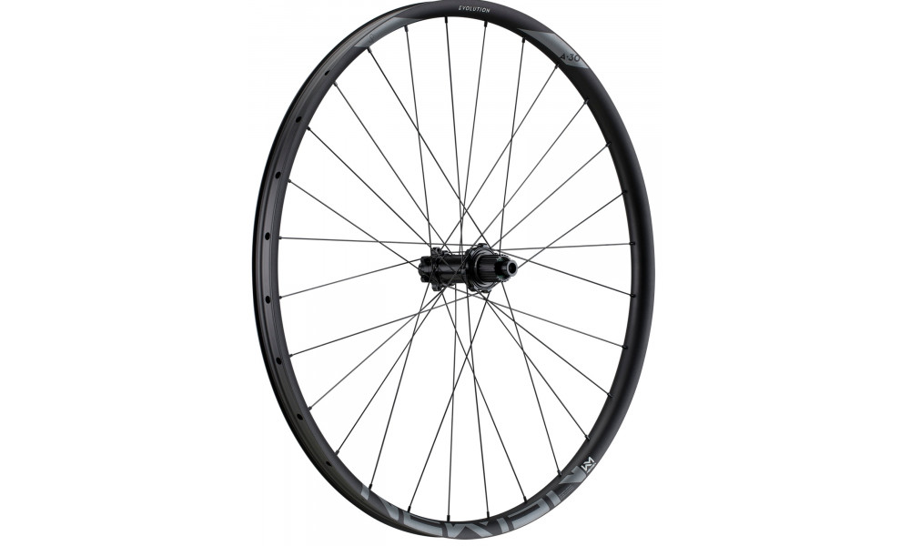 Galinis ratas NEWMEN Evolution Alu SL A.30 29" 12x148 SP 6-bolt 28H XD - 1