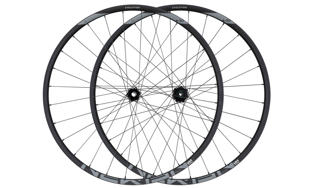 Galinis ratas NEWMEN Evolution Alu SL A.30 29" 12x148 SP 6-bolt 28H XD - 2