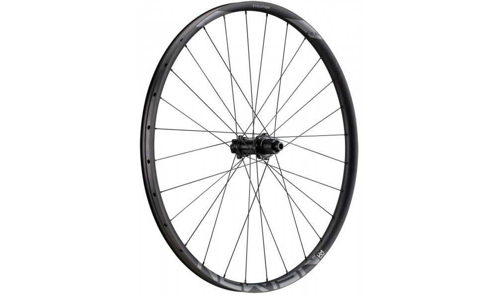 Galinis ratas NEWMEN Evolution Alu SL E.G.30 29" 12x148 SP 6-bolt 28H XD - 1