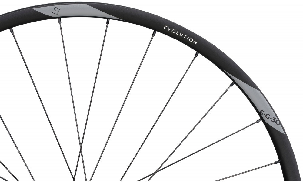 Galinis ratas NEWMEN Evolution Alu SL E.G.30 29" 12x148 SP 6-bolt 28H XD - 4