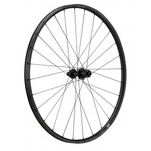 Galinis ratas NEWMEN Evolution Alu SL X.R.25 29" 28H Gravel SP C-Lock 12x142 MicroSpline