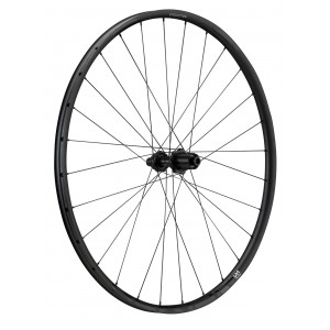 Galinis ratas NEWMEN Evolution Alu SL X.R.25 29" 28H Gravel SP C-Lock 12x142 XDR