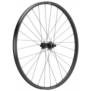 Galinis ratas NEWMEN Forge Alu 30 base 29" 28H SP 6-bolt 12x148 HG