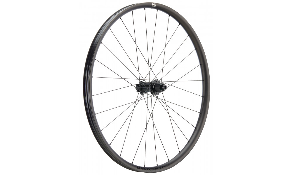 Galinis ratas NEWMEN Phase Carbon 30 base 29" 28H SP 6-bolt 12x148 MicroSpline 