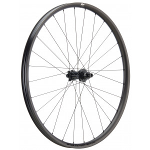 Galinis ratas NEWMEN Phase Carbon 30 base 29" 28H SP 6-bolt 12x148 HG