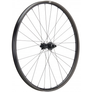 Galinis ratas NEWMEN Phase Carbon 30 base 29" 28H SP 6-bolt 12x148 XD