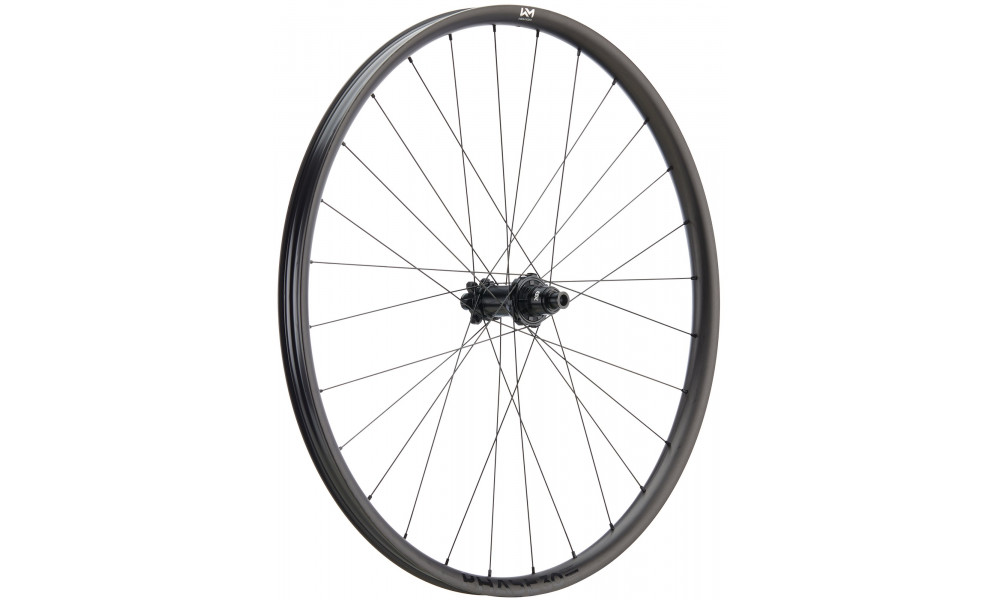 Galinis ratas NEWMEN Phase Carbon 30 base 29" 28H SP 6-bolt 12x148 XD 