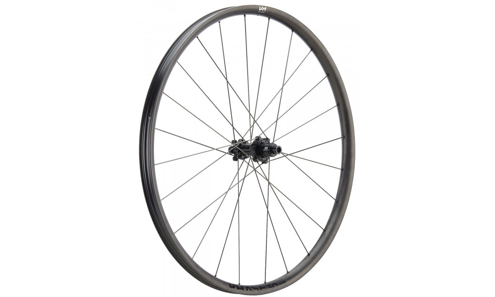 Galinis ratas NEWMEN Phase Carbon 30 base VONOA 29" 24H CS SP 6-bolt 12x148 MicroSpline 