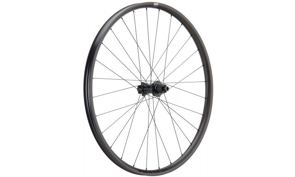 Galinis ratas NEWMEN Phase Carbon 30 light 29" 28H SP 6-bolt 12x148 MicroSpline 