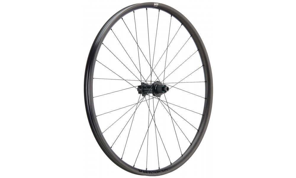 Galinis ratas NEWMEN Phase Carbon 30 strong 27.5" 28H SP 6-bolt 12x148 HG 