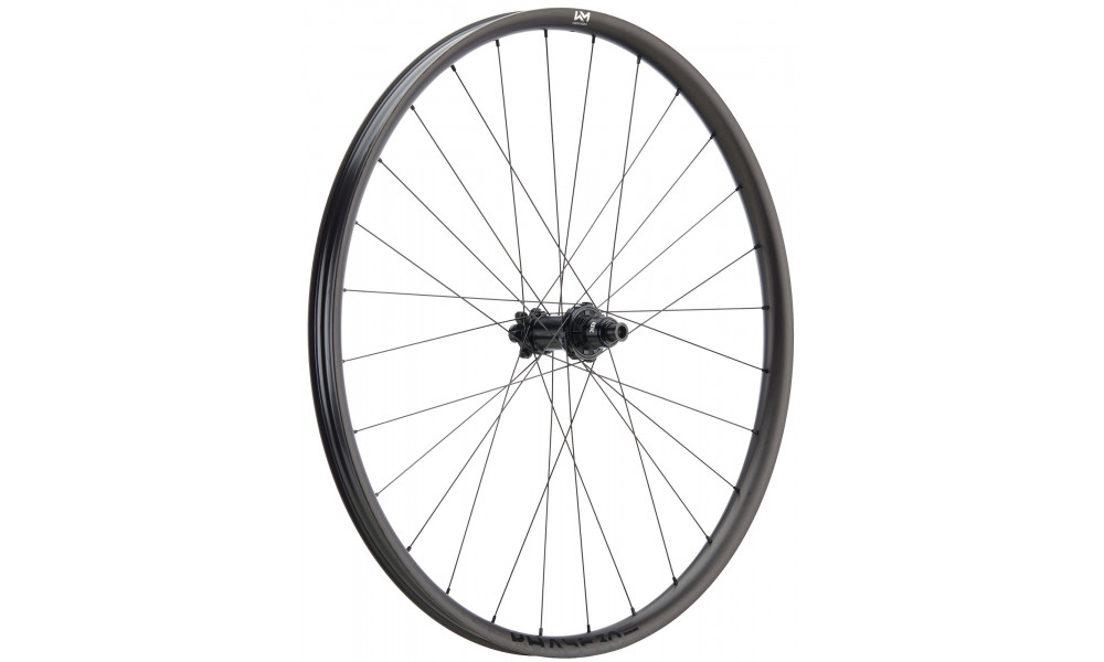 Galinis ratas NEWMEN Phase Carbon 30 strong 29" 28H SP 6-bolt 12x157 XD 