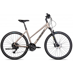 Dviratis Unibike Viper LDS 2025 titan
