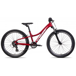 Dviratis Unibike Smart 24 2025 red