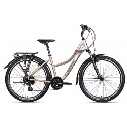 Dviratis Unibike Emotion 27.5 2025 titan