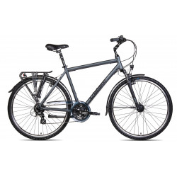Dviratis Unibike Vision GTS 2025 graphite