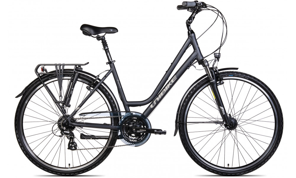 Dviratis Unibike Vision LDS 2025 grey - 1