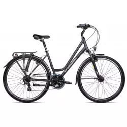 Dviratis Unibike Vision LDS 2025 grey