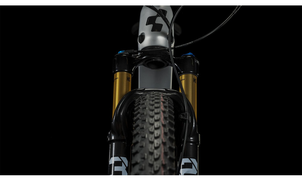 Dviratis Cube Elite C:62 Pro 29 silver'n'carbon 2024 - 6