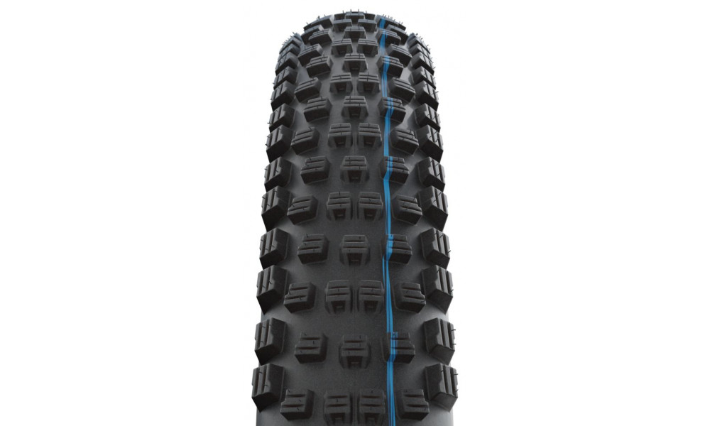 Padanga 29" Schwalbe Wicked Will HS 614 Evo Fold TLE 57-622 / 29x2.25 Super Ground Addix SpeedGrip - 3