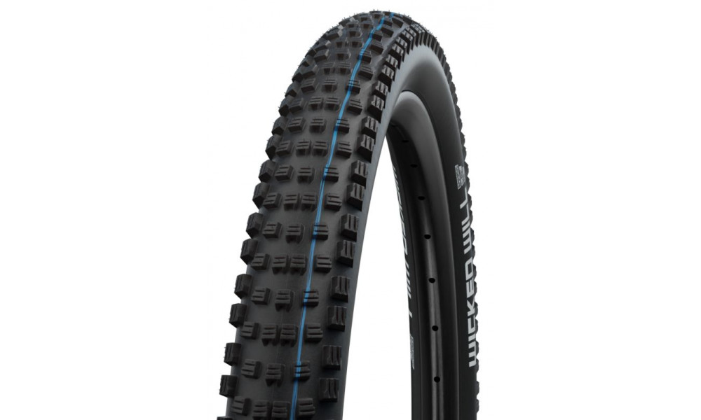 Padanga 29" Schwalbe Wicked Will HS 614 Evo Fold TLE 65-622 / 29x2.60 Super Ground Addix SpeedGrip - 1