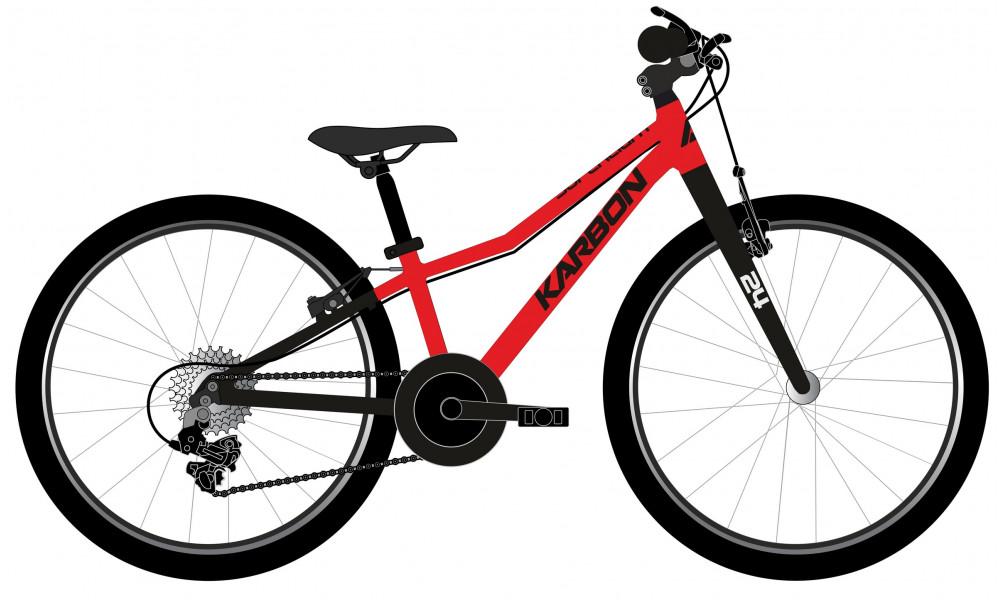 Dviratis Karbon Superlight 24 red 