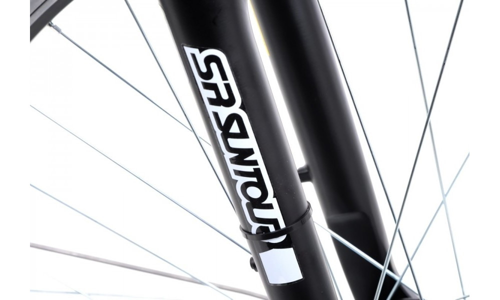 Dviratis Romet Wagant 5 28" 2022 silver-graphite - 9
