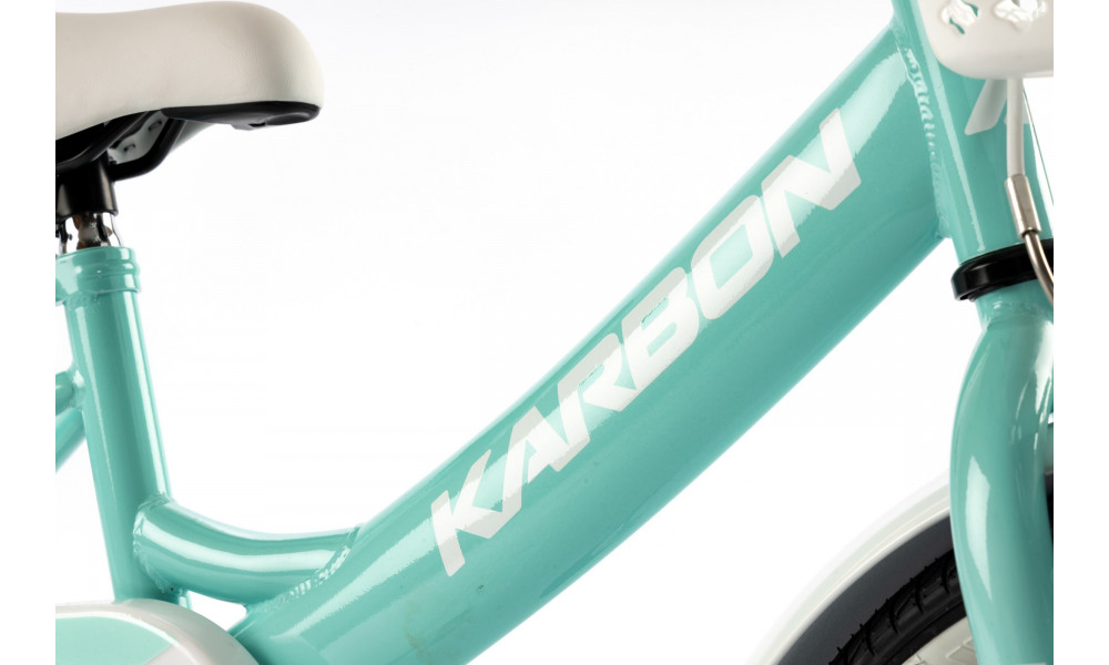Dviratis Karbon Tiara 16 mint - 4
