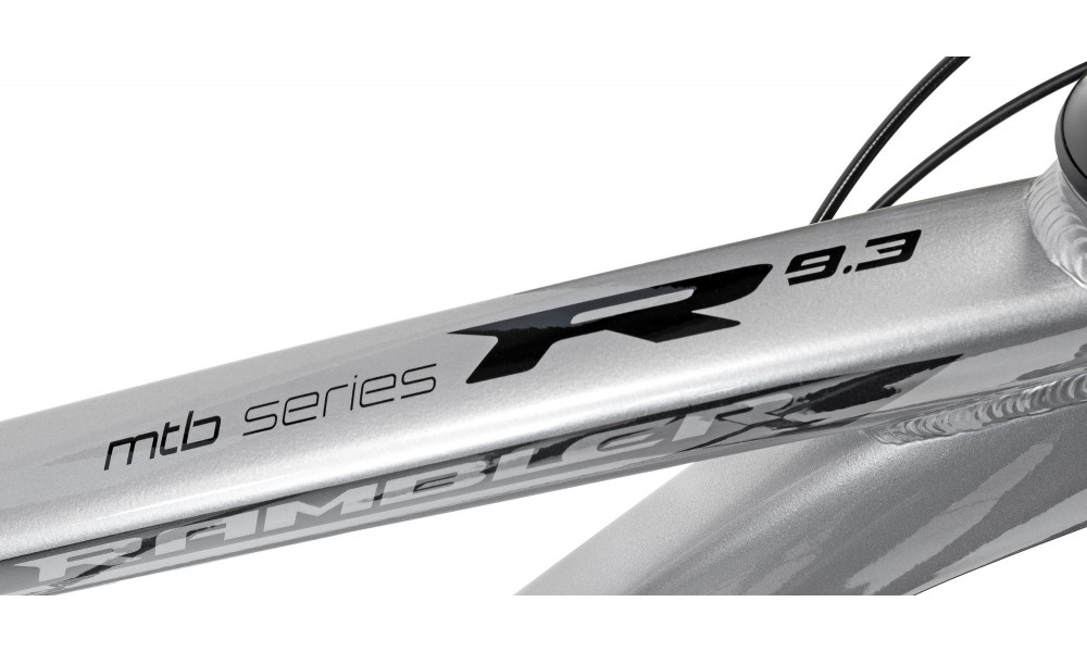 Dviratis Romet Rambler 29" Disc Limited silver-black - 8