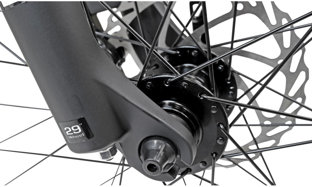 Dviratis Romet Rambler 29" Disc Limited silver-black - 9