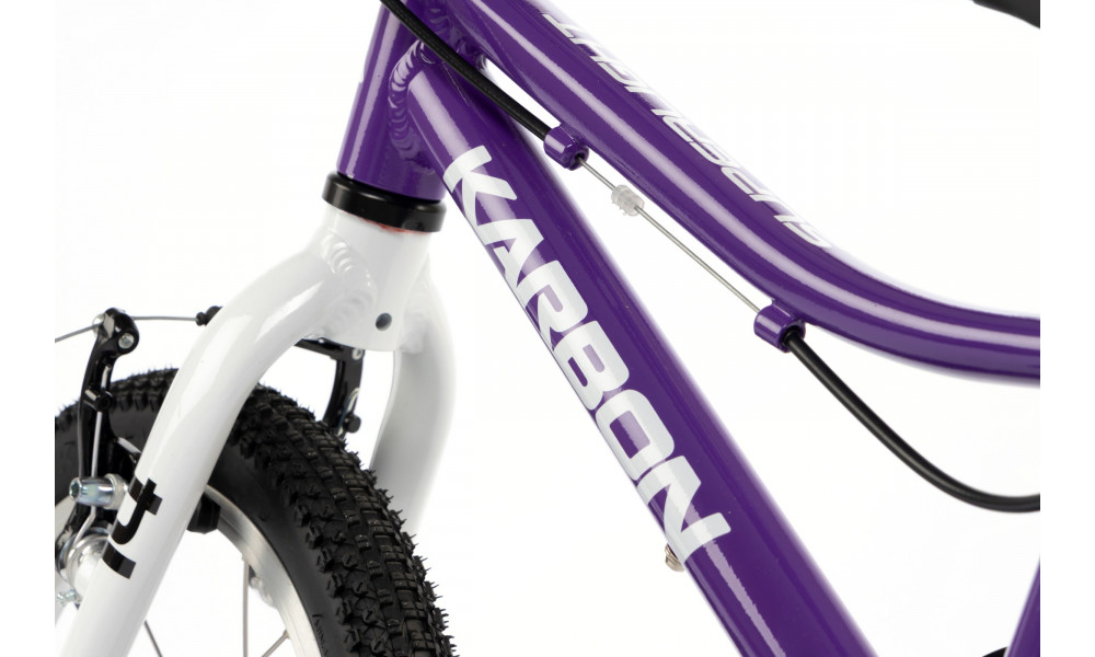 Dviratis Karbon Superlight 14 violet - 3