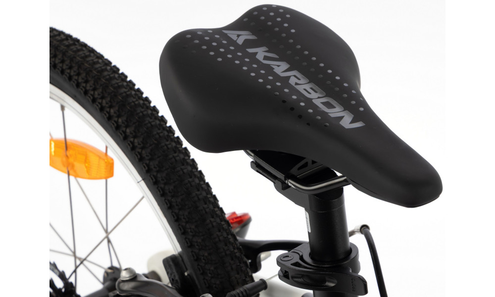 Dviratis Karbon Superlight 20 black - 5
