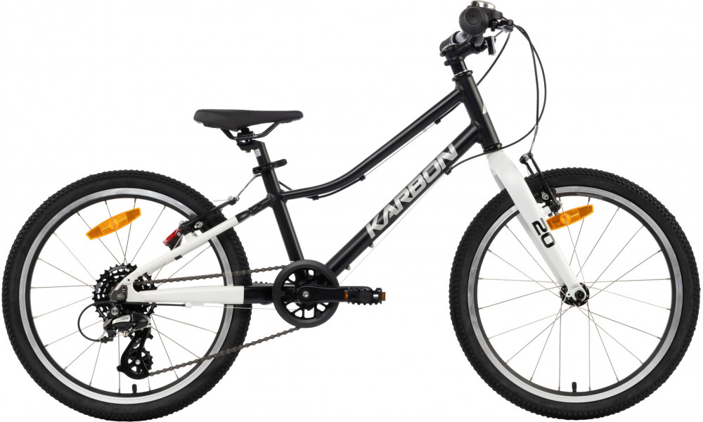 Dviratis Karbon Superlight 20 black - 9