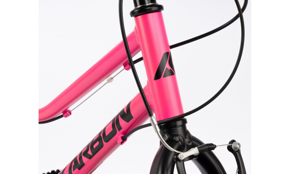 Dviratis Karbon Superlight 20 pink - 8
