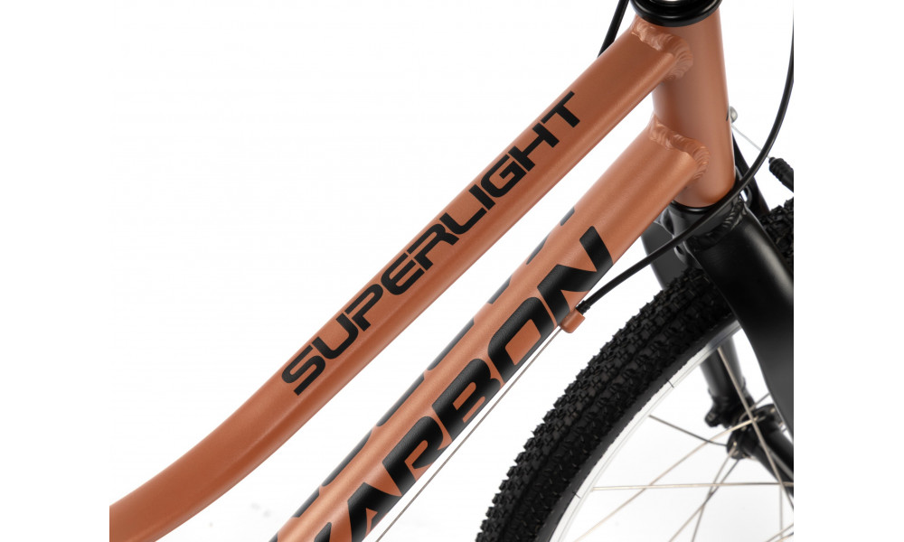 Dviratis Karbon Superlight 20 copper - 5