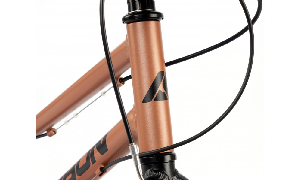 Dviratis Karbon Superlight 20 copper - 8