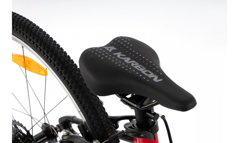 Dviratis Karbon Superlight 24 red - 4