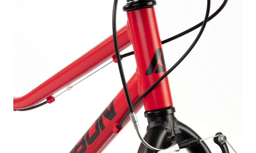 Dviratis Karbon Superlight 24 red - 6