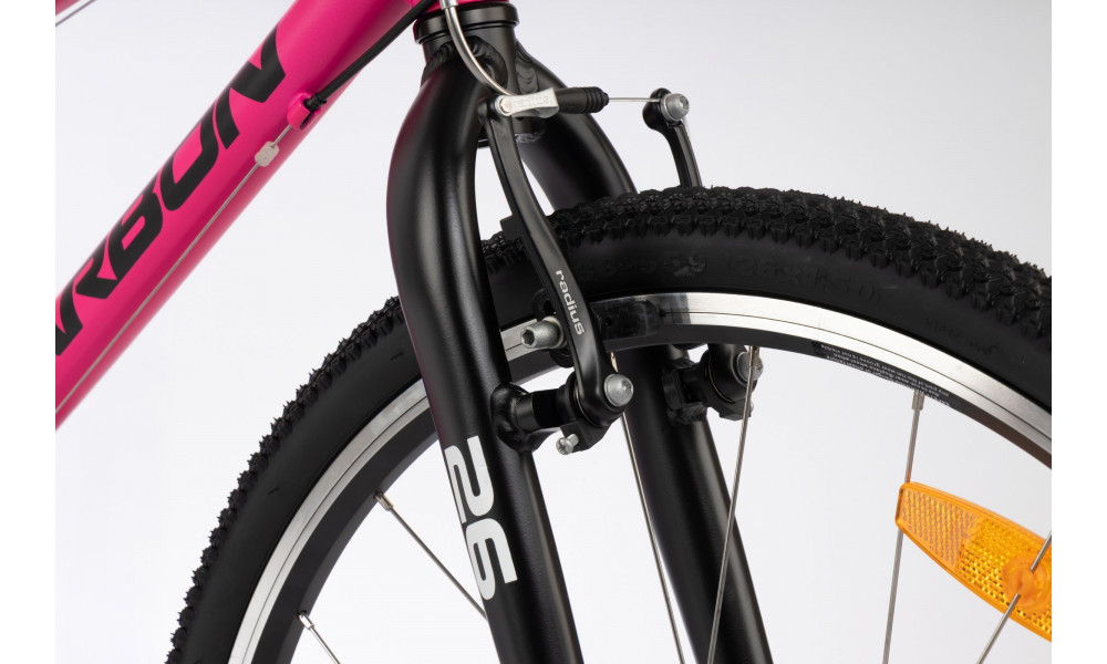 Dviratis Karbon Superlight 26 pink - 6