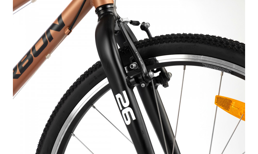 Dviratis Karbon Superlight 26 copper - 7