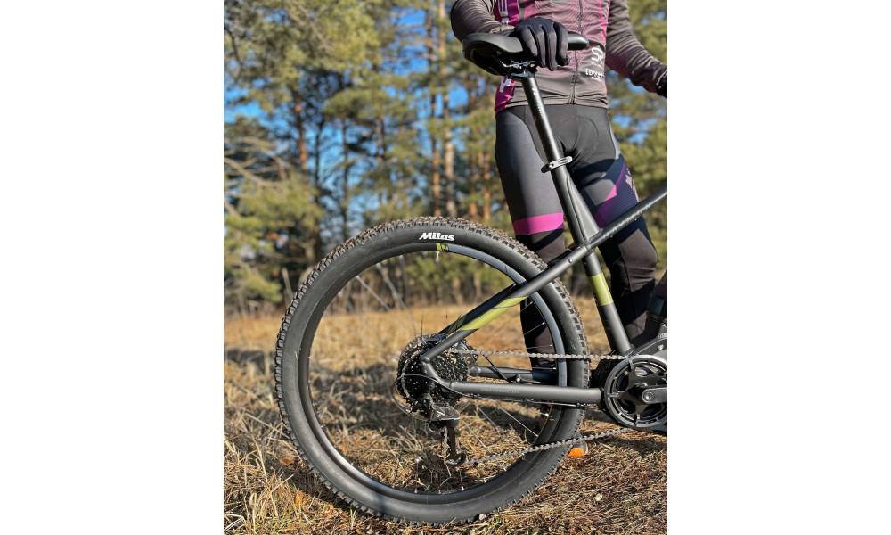 Elektrinis dviratis Raymon HardRay E 2.0 29" black-armor - 11