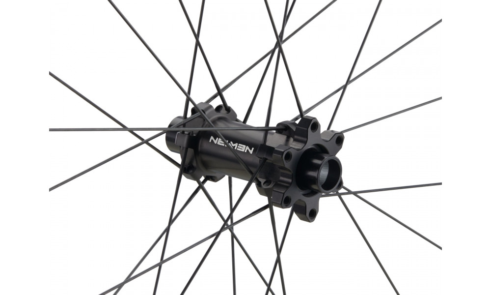 Priekinis ratas NEWMEN Kids Evolution Alu X.A.25 24" 24H SP 6-bolt 15x100 - 3