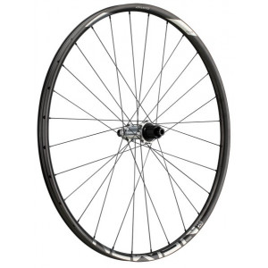 Galinis ratas NEWMEN Advanced Carbon SL X.A.25 29" 28H SP C-Lock 12x148 MicroSpline